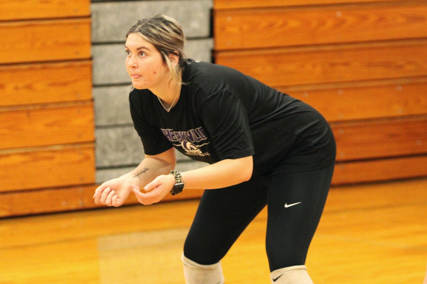 IMG_3413_Snapseed Mallory Holland Shelbyville volleyball.jpg